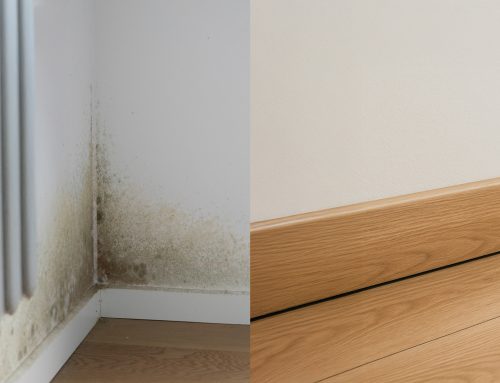 Kalte Wände, Schimmel & Co. – Was hilft wirklich?